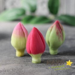 Бутоны тюльпанов закрытые (3 шт.), форма силиконовая