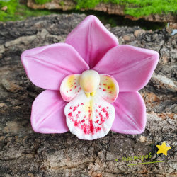Орхидея Цимбидиум, форма силиконовая