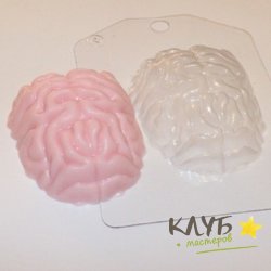 Мозг, форма пластиковая