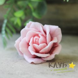 Роза Анжелика малая, форма силиконовая