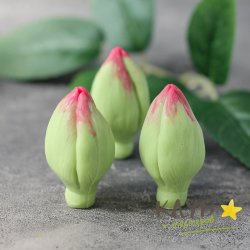 Бутоны тюльпанов закрытые (3 шт.), форма силиконовая