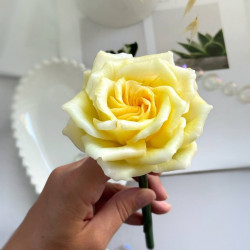 Роза Ностальжи, форма из пищевого силикона