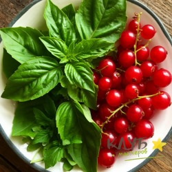 Базилик и смородина 15 мл, отдушка косметическая