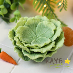 Подложка из листьев капусты, форма из пищевого силикона