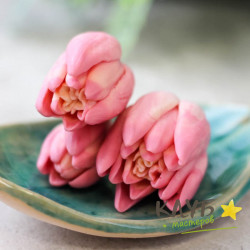 Тюльпаны Монте, форма из пищевого силикона
