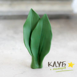 Листья тюльпана, форма из пищевого силикона