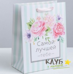 Пакет бумажный с ручками «Самой лучшей тебе»,18 х 23 х 10 см