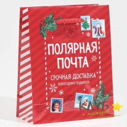 Пакет с ручками ламинированный «Полярная почта», 12х15х5,5 см