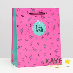 Пакет с ручками ламинированный "Тебя любят", 22х18х10 см