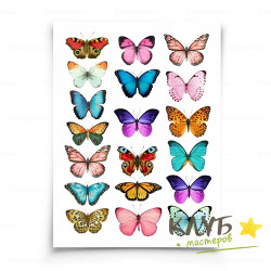 Бабочки яркие, картинки на съедобной бумаге