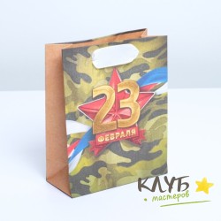 Крафт-пакет бумажный с ручками "23 Февраля. Красная звезда", 12х15х5,5 см