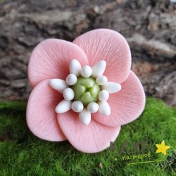 Цветок сакуры, форма из пищевого силикона