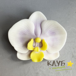 Цветок орхидеи, форма из пищевого силикона