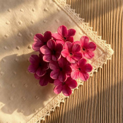 Флоксы, форма из пищевого силикона