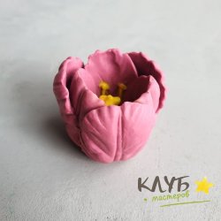 Бутон тюльпана малый, форма силиконовая