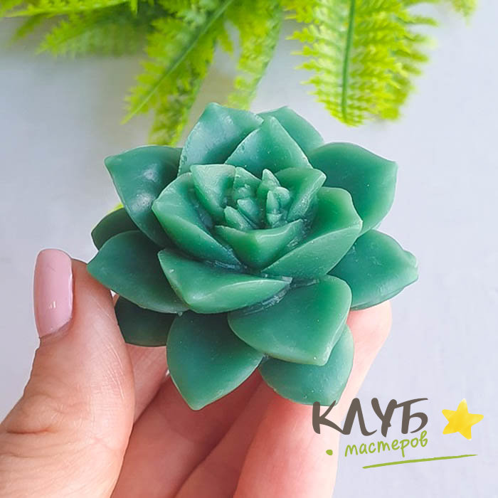 Суккулент Каменная роза, форма силиконовая купить в интернет-магазине ...