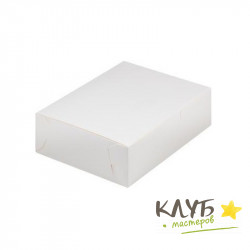 Коробка белая 20х15х6 см