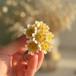 7 ромашек, форма из пищевого силикона