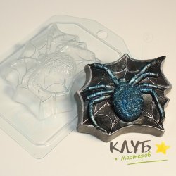 Паук на паутине,форма пластиковая