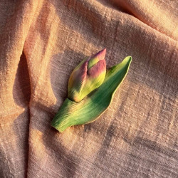 Бутон ириса с листом, форма из пищевого силикона