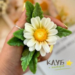 Ромашка солнечная, форма из пищевого силикона