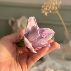 Ирис, форма из пищевого силикона