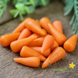 Морковка мини х6, форма силиконовая