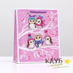 Пакет с ручками ламинированный "Нежные совы", 26х32х12 см