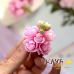 Веточка яблони, форма силиконовая