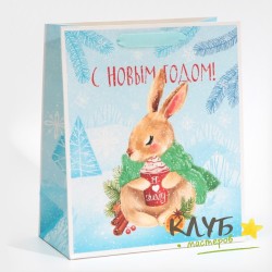 Пакет с ручками ламинированный «Зайчик. Я люблю зиму», 23х27х11,5 см