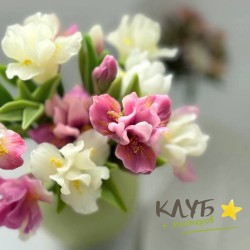 Ирис Айс, форма силиконовая
