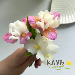 Ирис Айс, форма из пищевого силикона